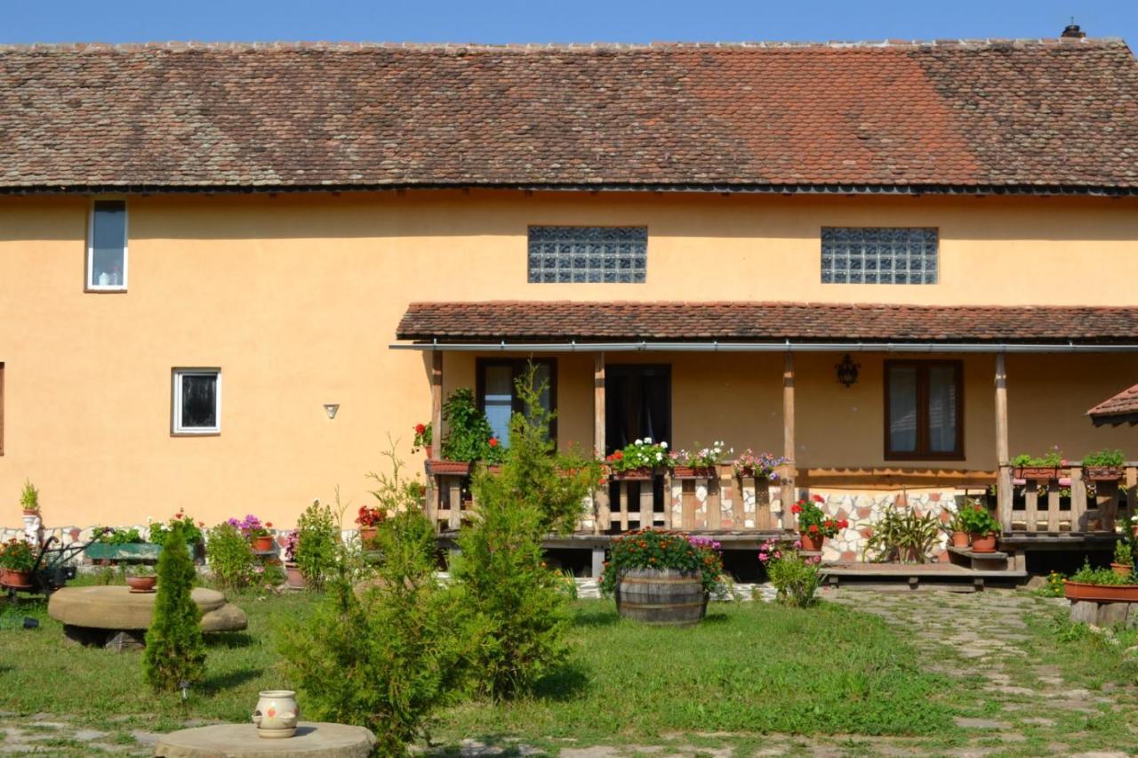 Casa Maria Apartment Cincu Bagian luar foto