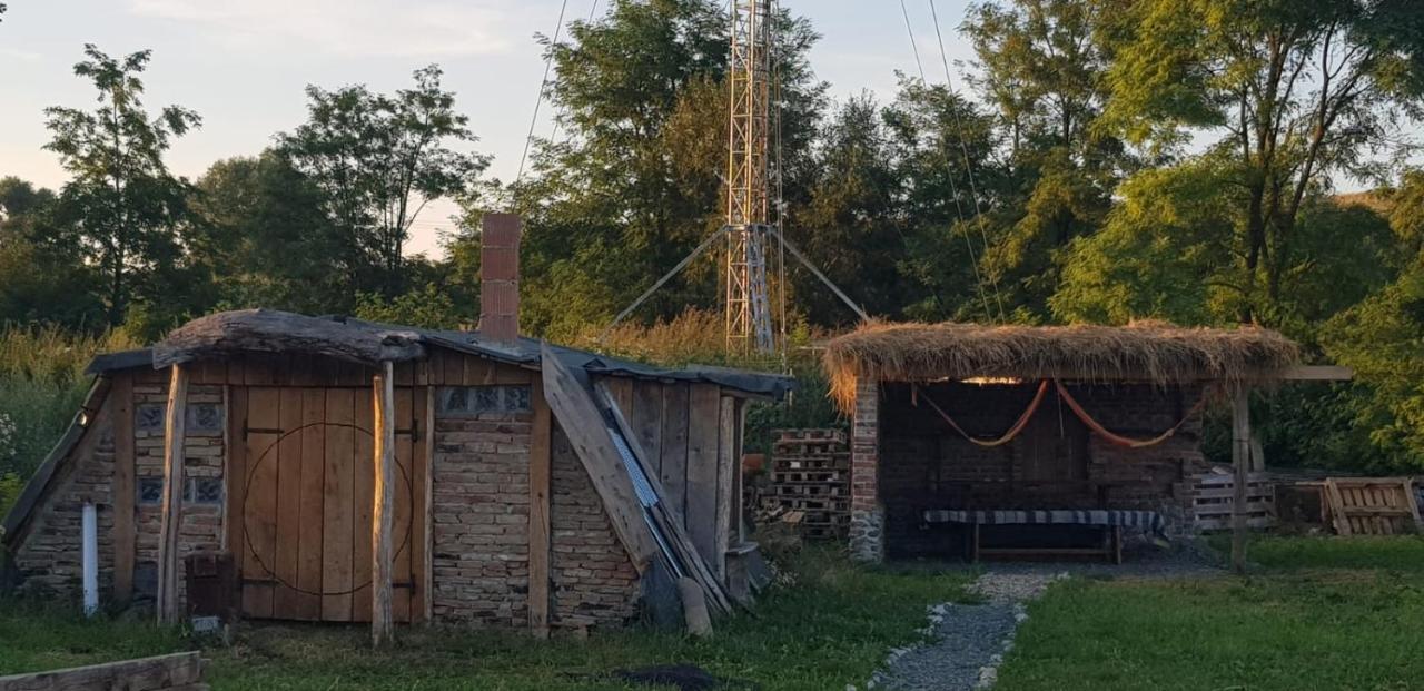 Casa Maria Apartment Cincu Bagian luar foto