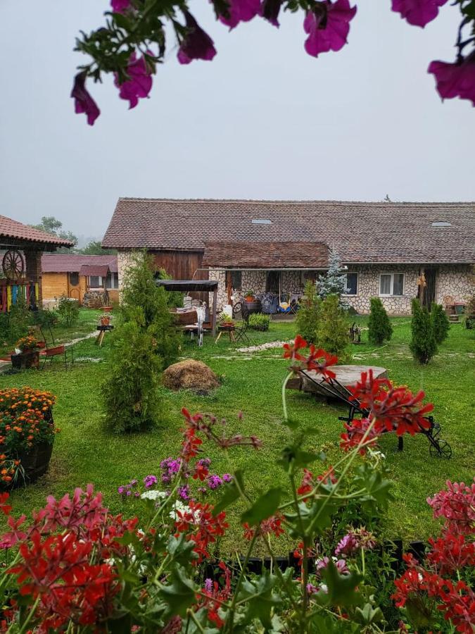 Casa Maria Apartment Cincu Bagian luar foto