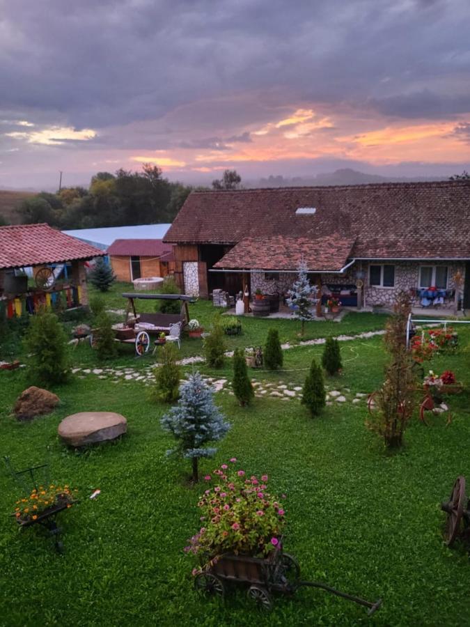 Casa Maria Apartment Cincu Bagian luar foto