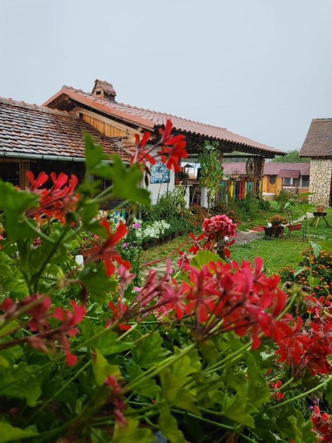 Casa Maria Apartment Cincu Bagian luar foto