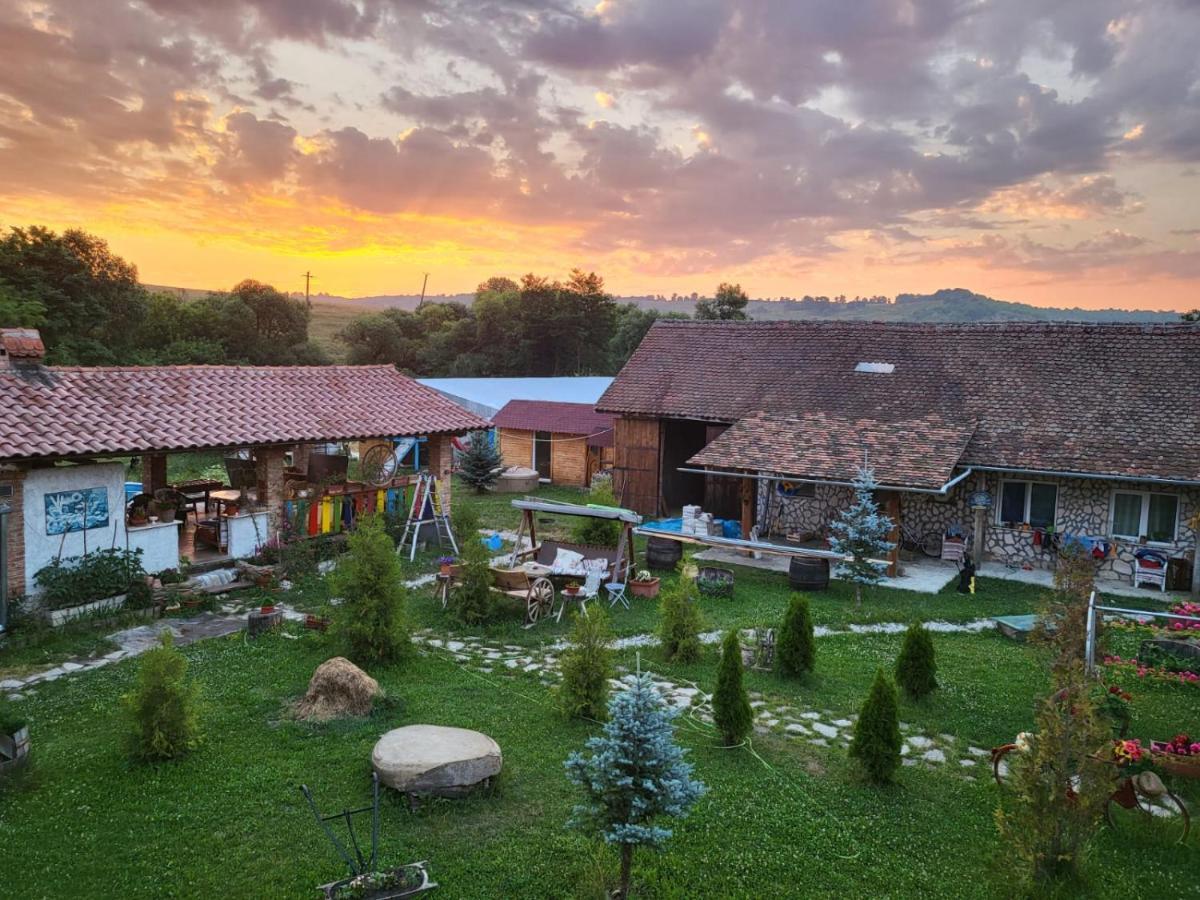 Casa Maria Apartment Cincu Bagian luar foto