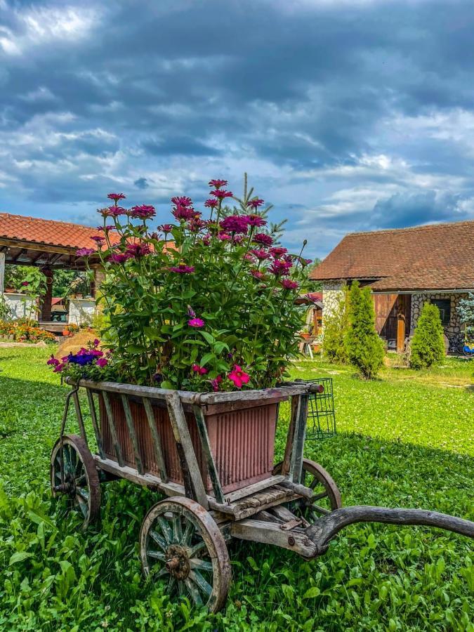 Casa Maria Apartment Cincu Bagian luar foto