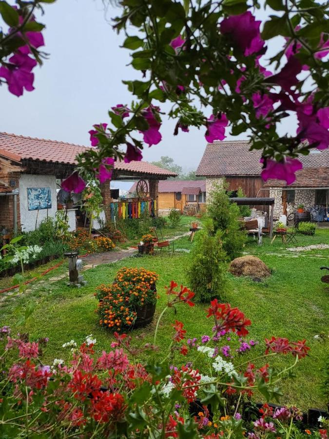 Casa Maria Apartment Cincu Bagian luar foto