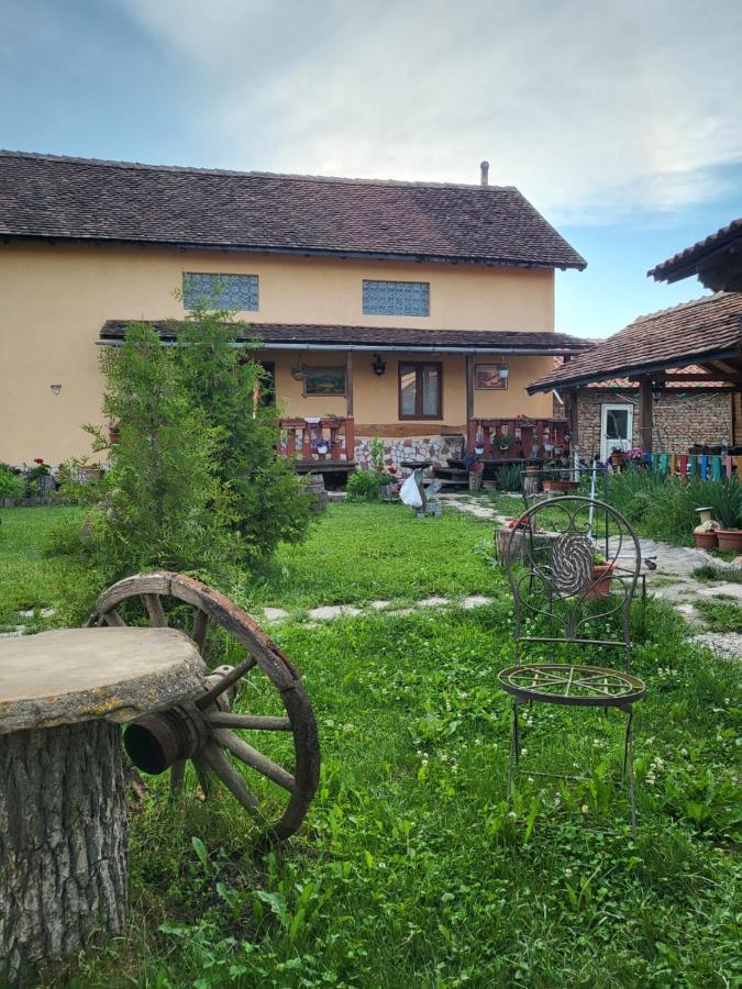 Casa Maria Apartment Cincu Bagian luar foto