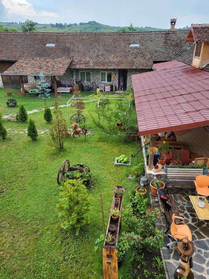 Casa Maria Apartment Cincu Bagian luar foto