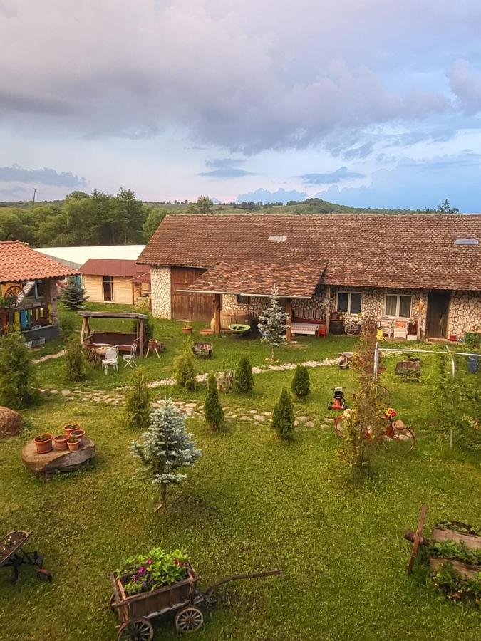 Casa Maria Apartment Cincu Bagian luar foto