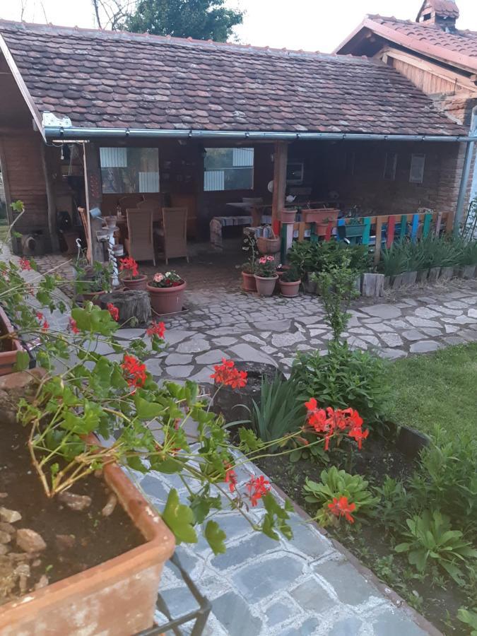 Casa Maria Apartment Cincu Bagian luar foto