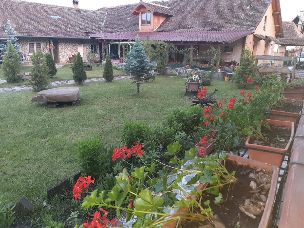 Casa Maria Apartment Cincu Bagian luar foto