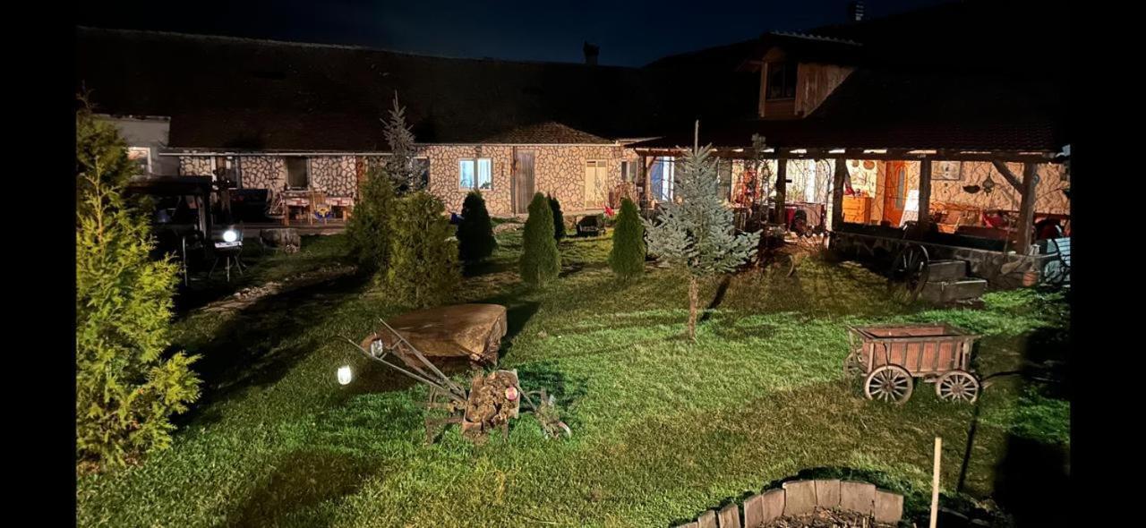 Casa Maria Apartment Cincu Bagian luar foto